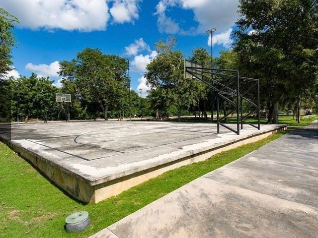 place photo 36