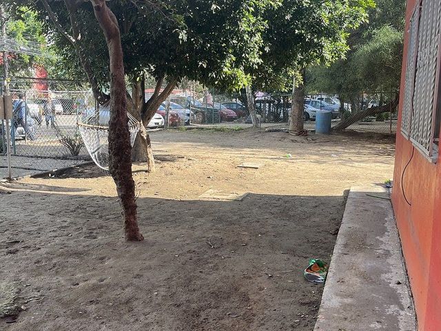 place photo 23