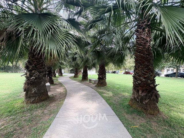 place photo 27