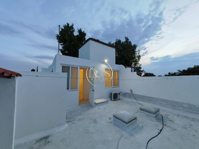 place photo 61