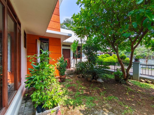 place photo 45