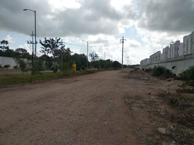 place photo 31