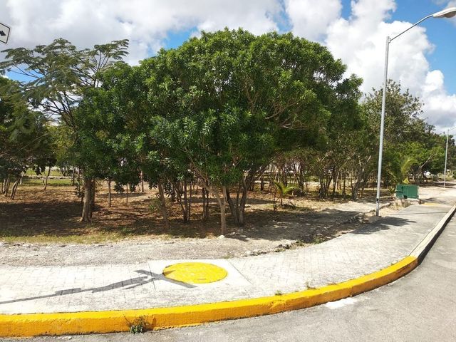 place photo 37