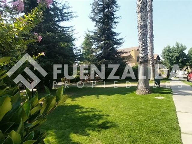 place photo 38