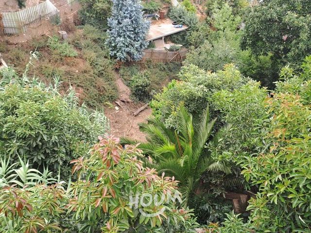 place photo 48
