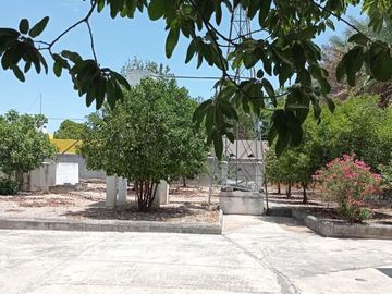 place photo 6