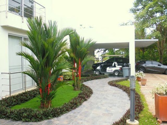 place photo 29