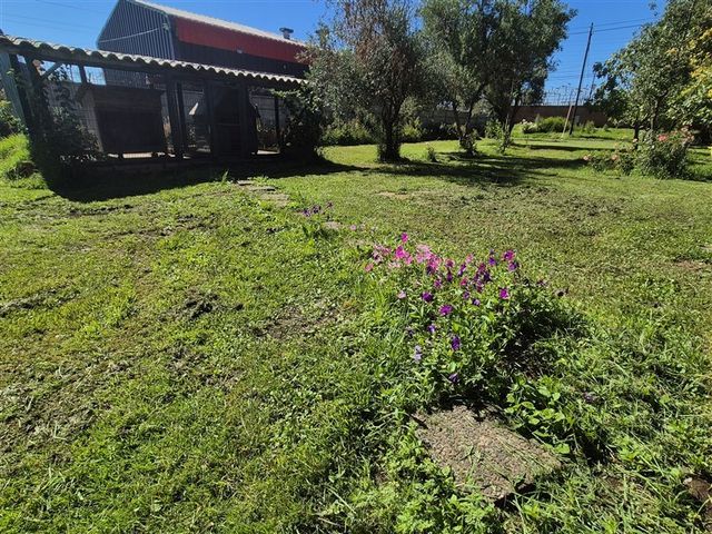 place photo 36