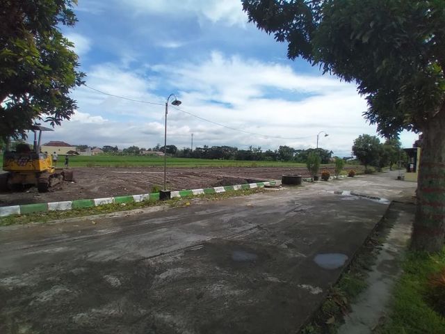 place photo 4