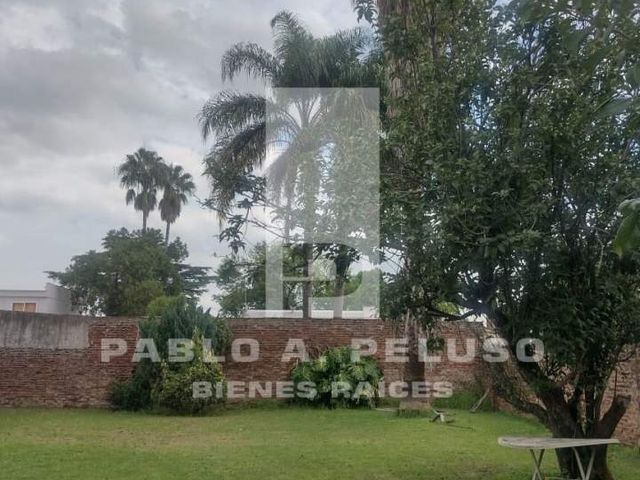 place photo 20