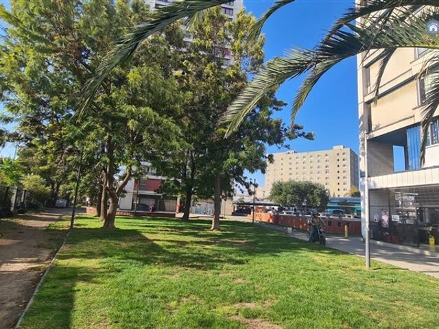 place photo 20