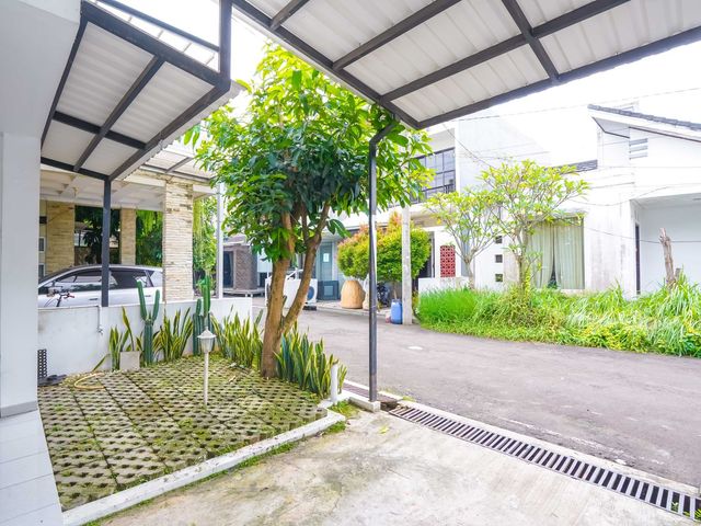 place photo 31