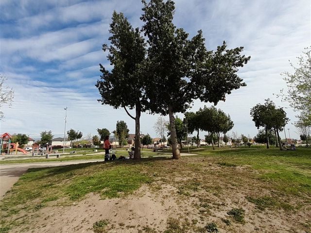 place photo 57