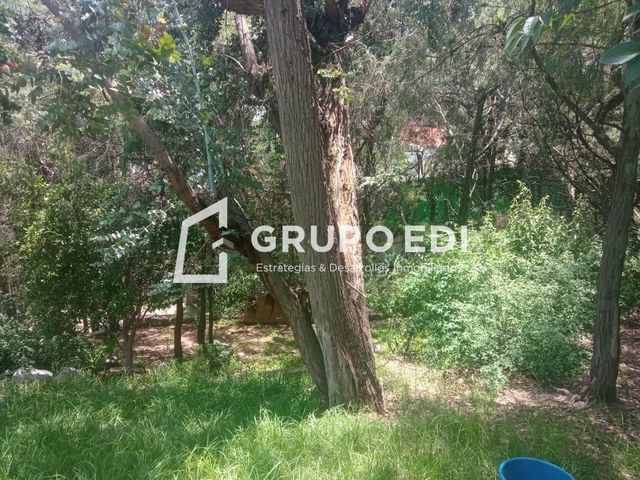 place photo 38