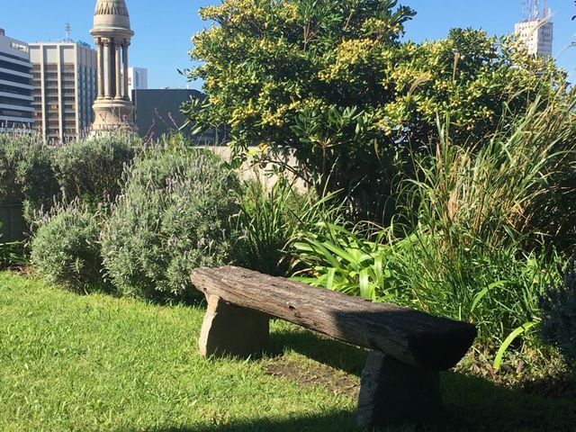place photo 21