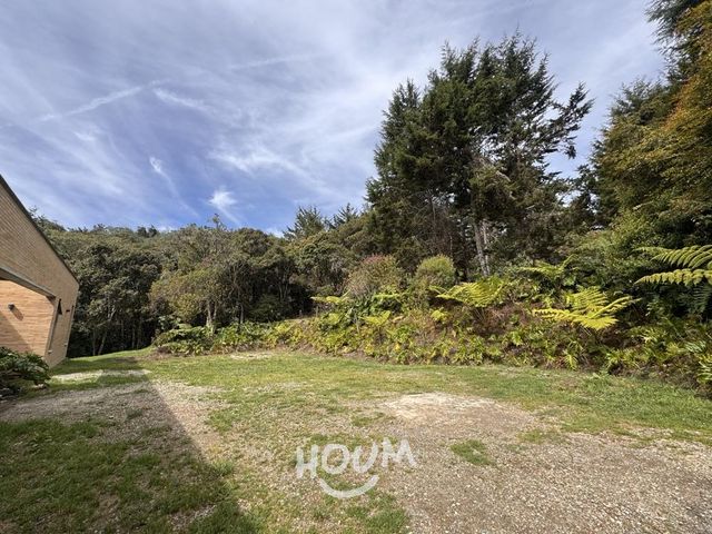 place photo 50