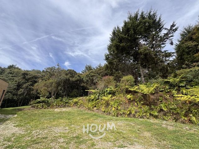 place photo 51