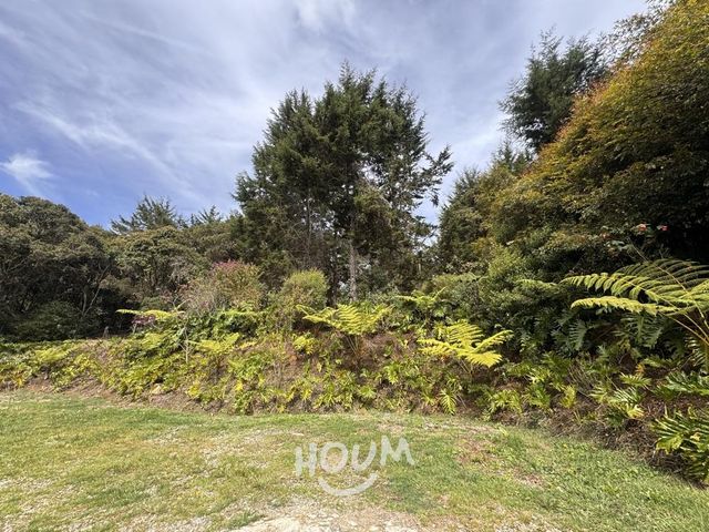 place photo 49
