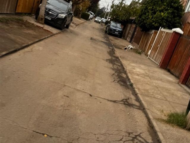 place photo 26