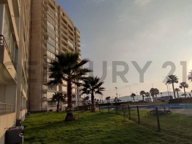 place photo 24