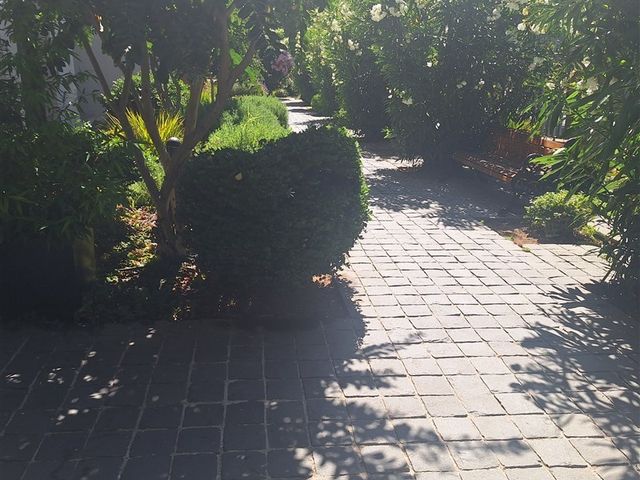 place photo 26