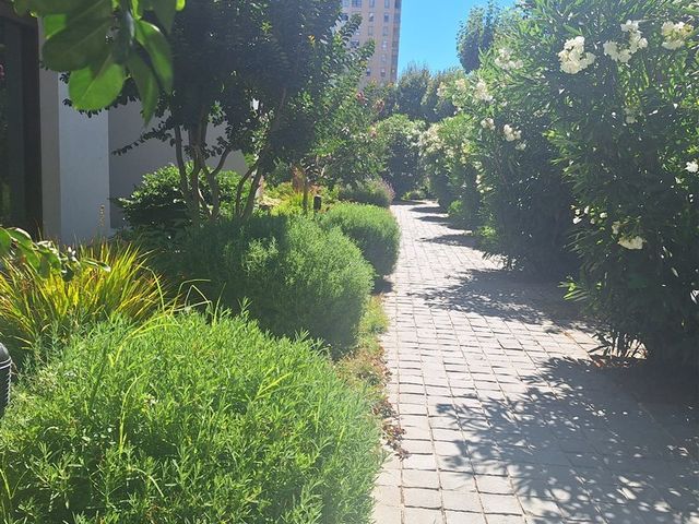 place photo 28