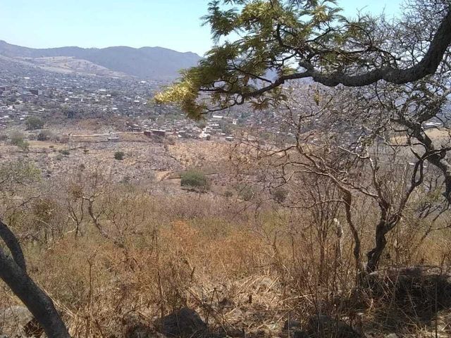 place photo 21