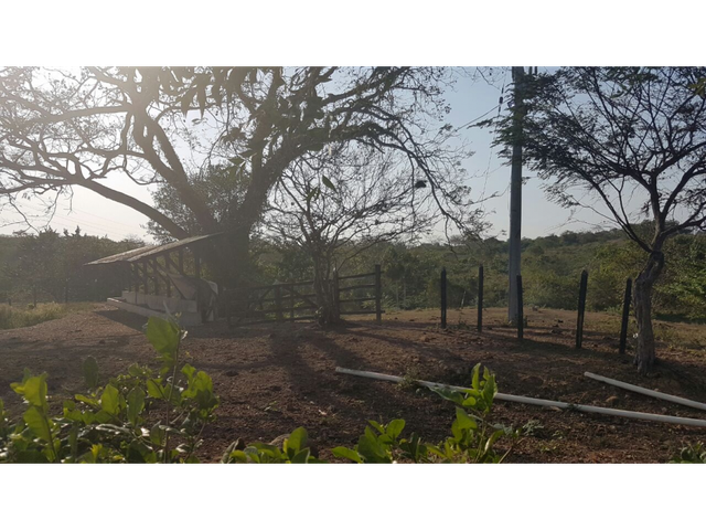 place photo 15