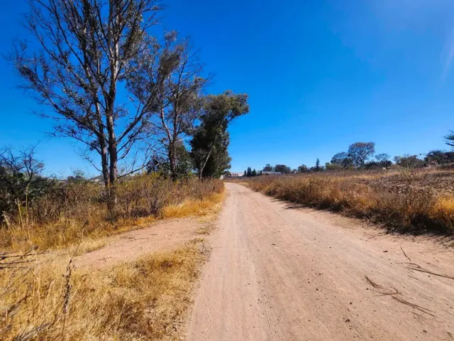 place photo 10