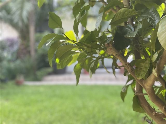 place photo 42