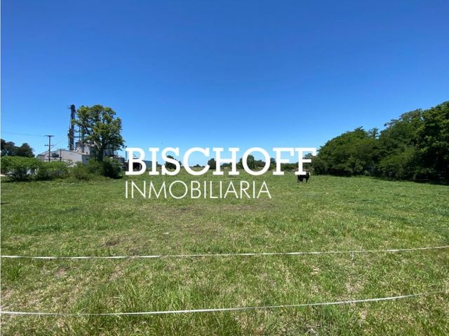 place photo 10
