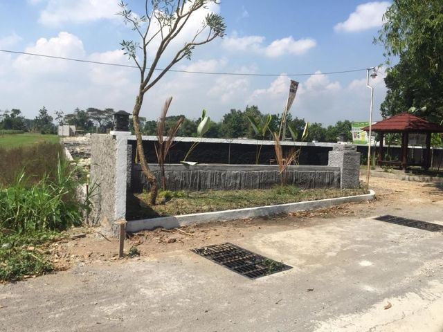 place photo 3