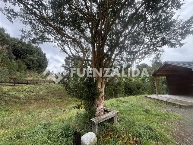place photo 32