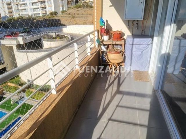place photo 25