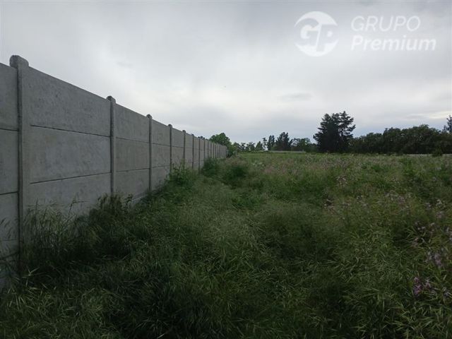 place photo 24