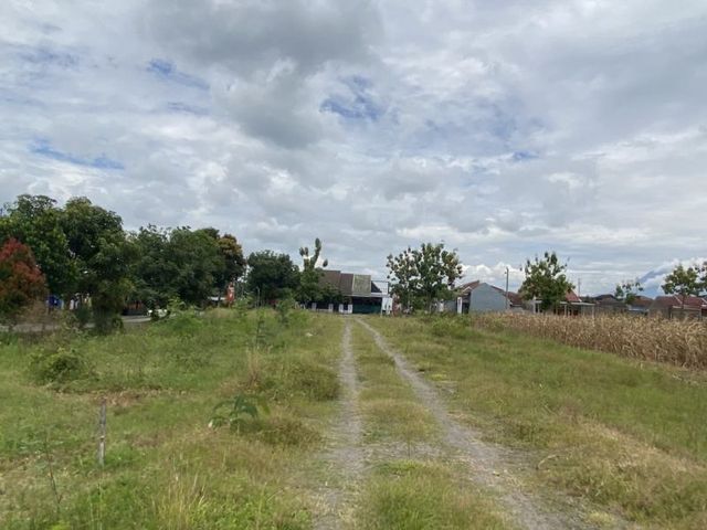 place photo 3