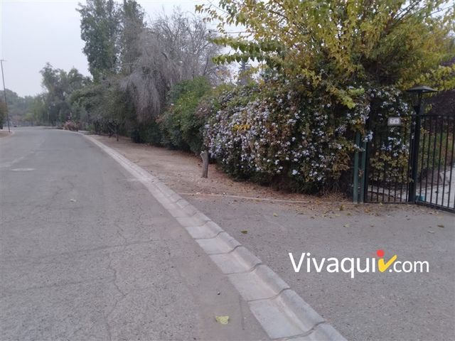 place photo 42