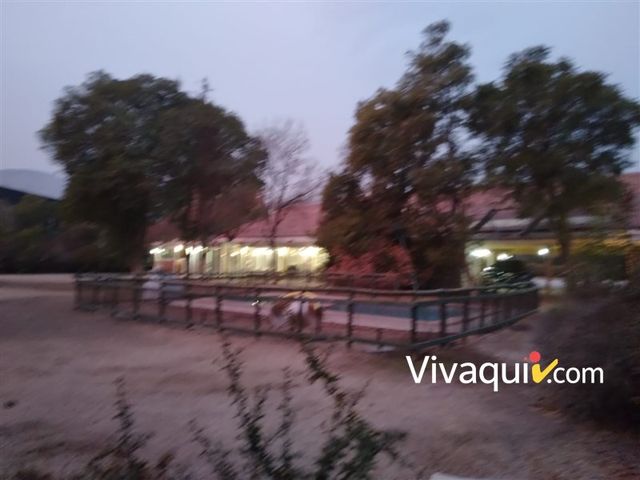 place photo 37