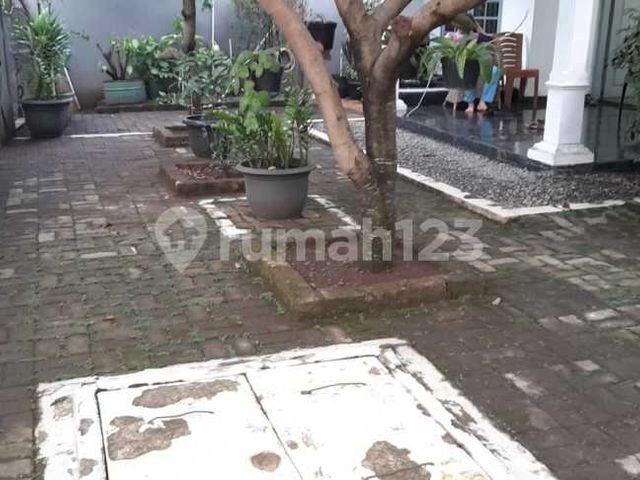 place photo 23