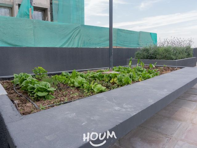 place photo 47