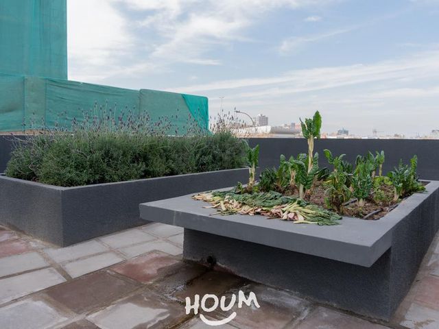 place photo 46