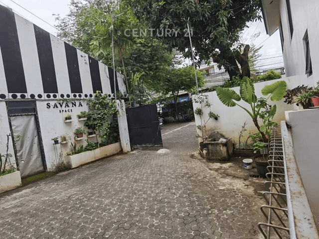 place photo 8