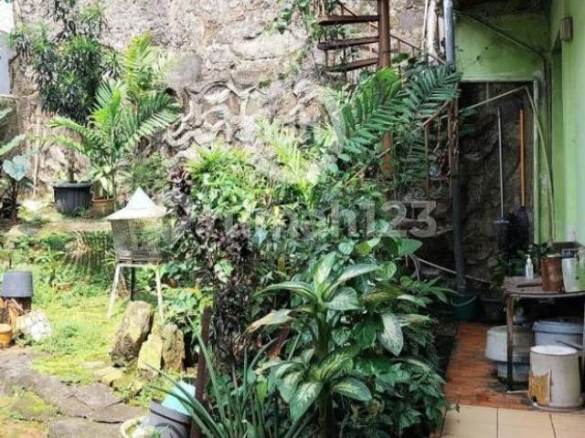 place photo 8