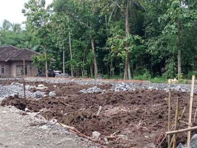 place photo 8