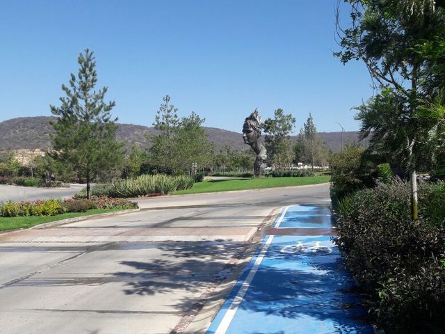place photo 23