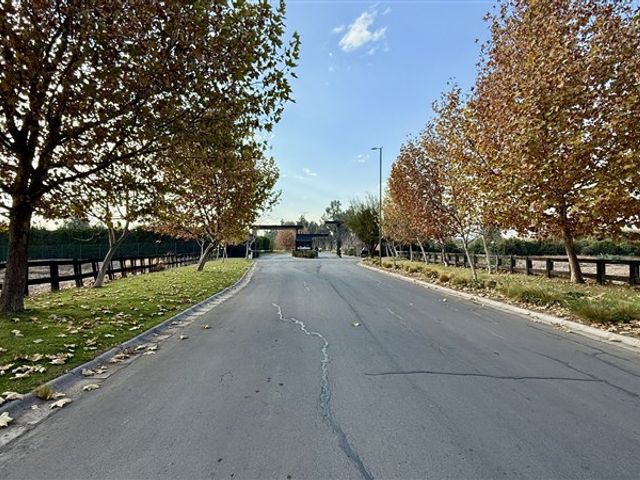place photo 49