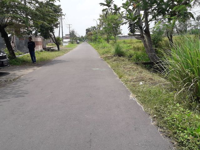 place photo 8