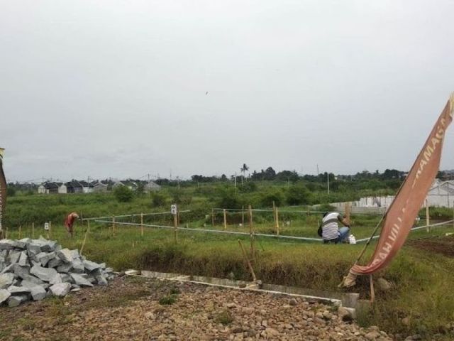 place photo 3