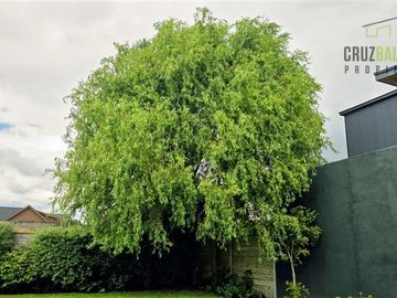 place photo 43