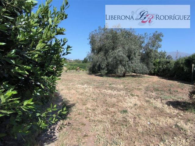 place photo 24